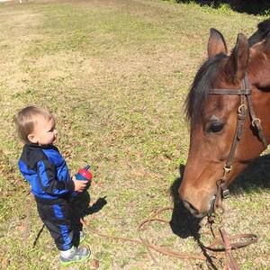 Meet your Posher, Paula